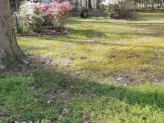 2nd image of 1605 Lakeside Dr