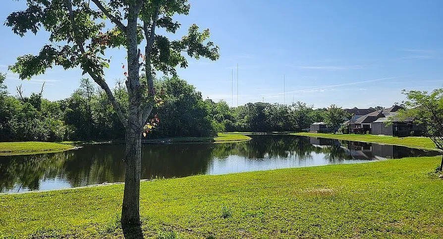 3 bed, 1551 sqft, $2,800 — Photo 3