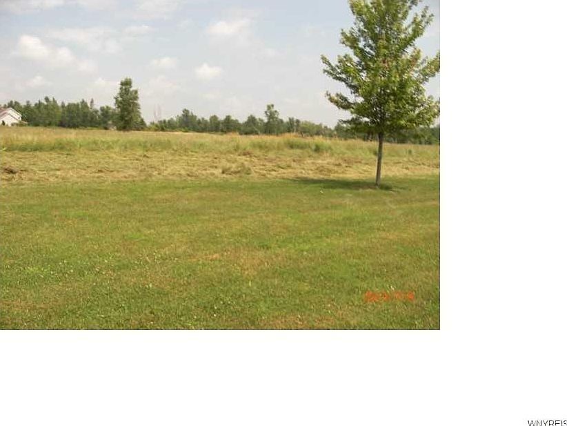 2nd image of 10200 Shamus Ln