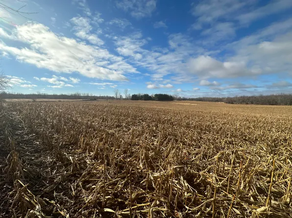 Culbert Rd, Osseo, MI 49266