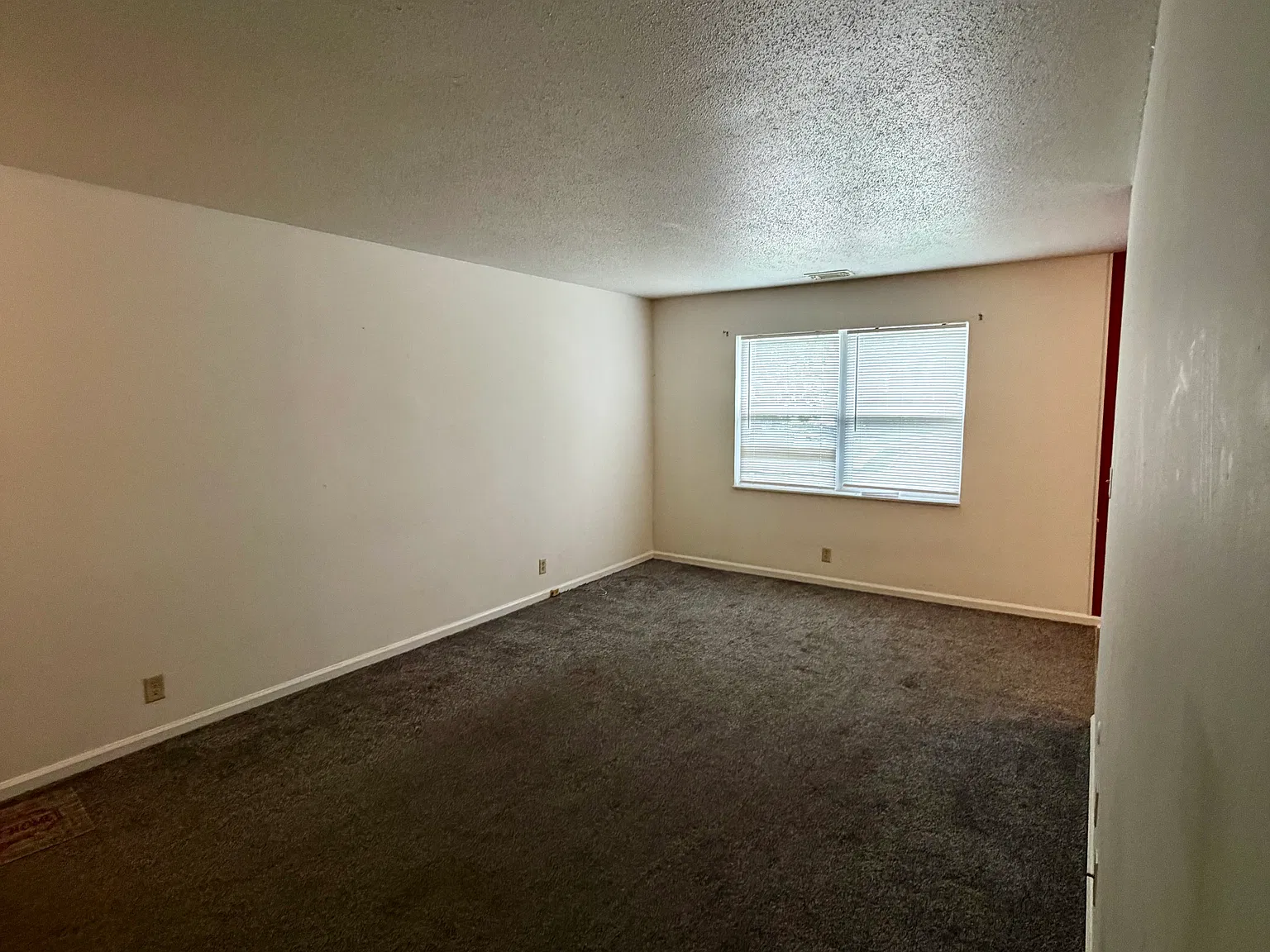 430 Lark Ct — Photo 4