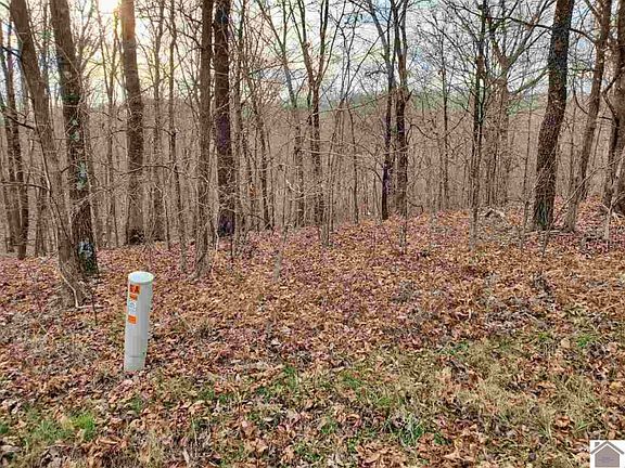 4th image of 0 Cross Spann Rd