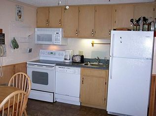 249 Mountain Ldg, Snowshoe, WV 26209