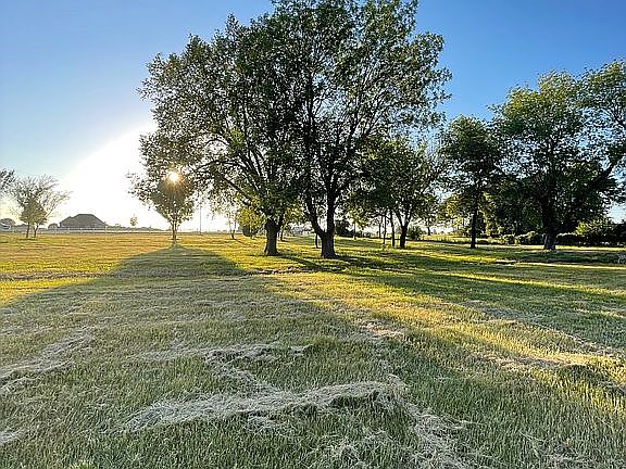 Front, large pecan trees