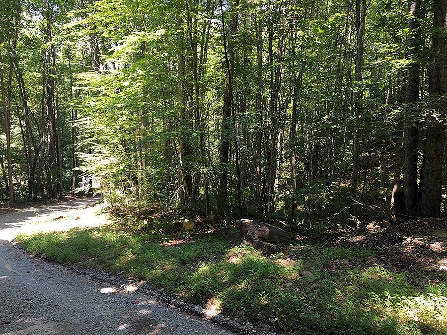 2nd image of Pine View Rd