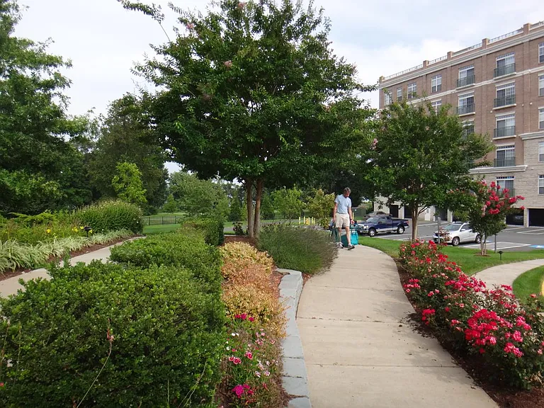 830 Belmont Bay Dr #504 — Photo 37