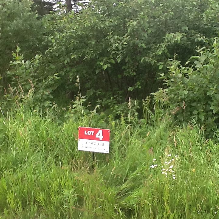 1st image of 51 Harmony Dr
