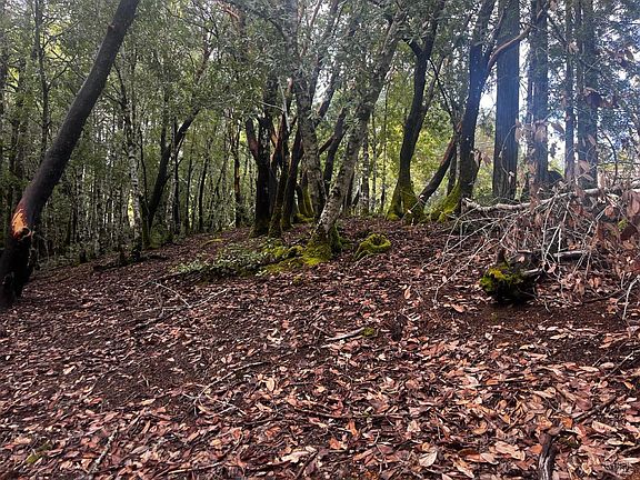 3rd image of 2149 Goose Road