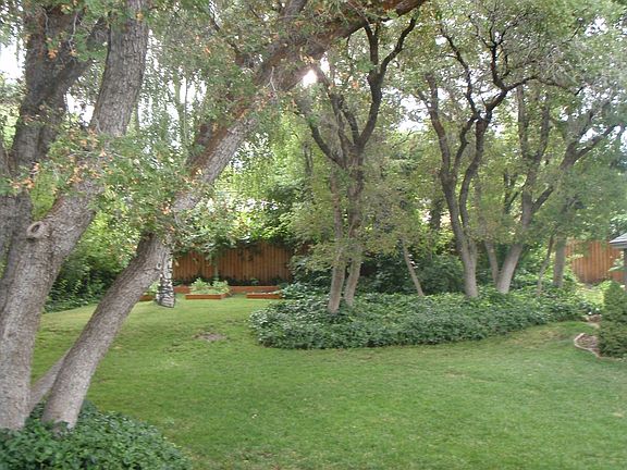 Beautiful Lanscaped Backyard