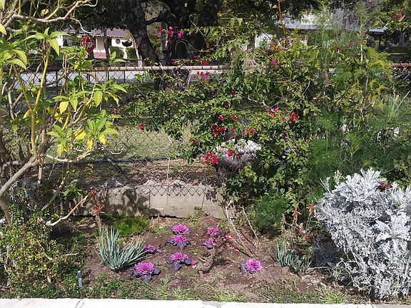 Beautiful Flower Beds with Many New Additions