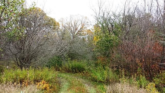 2nd image of Lot 2 N 18TH STREET