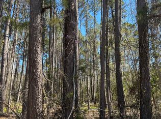 0 Bacontown Rd, Midway, GA 31320