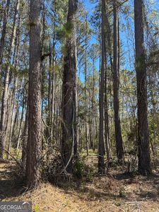 0 Bacontown Rd, Midway, GA, 31320