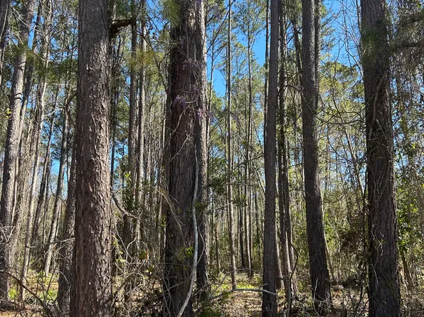 0 Bacontown Rd, Midway, GA 31320