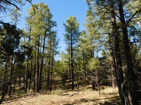 5365 Twin Oaks Loop, Happy Jack, AZ 86024