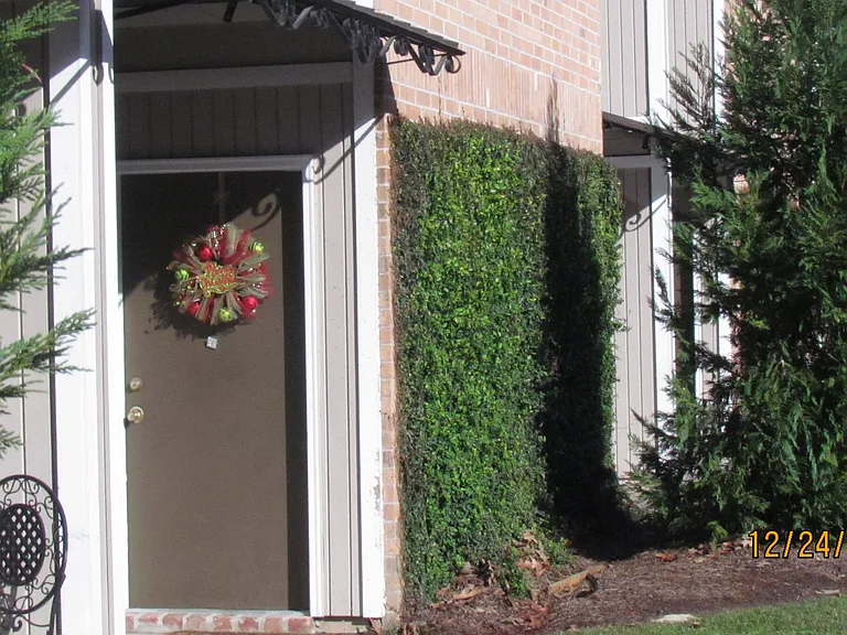 16161 Tiger Bend Rd — Photo 10