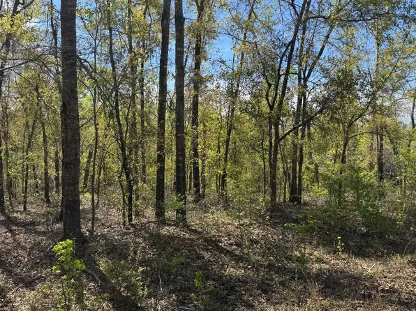 LOT 22 NW Evergreen Oak Pl #22, Jennings, FL 32053