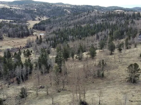 0 County Road 86, Victor, CO 80860