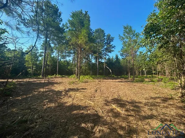 County Road 1640, Linden, TX 75563