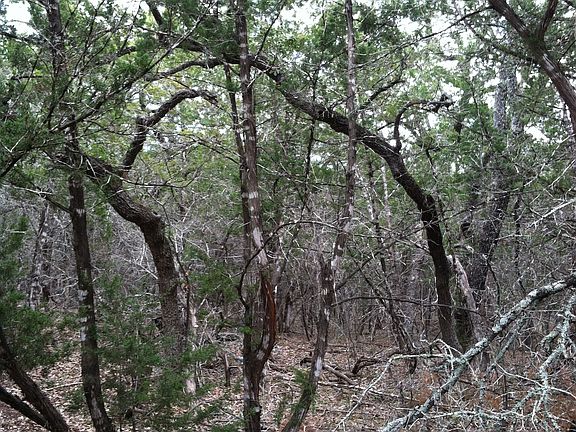 3rd image of Deer Oaks Dr