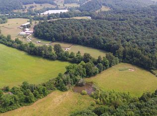 57 Call Wright Rd, Ellijay, GA 30540