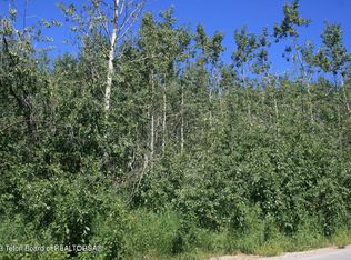 286 Chokecherry Dr LOT 65, Thayne, WY 83127