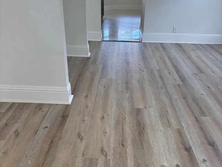 947 Nandina Dr — Photo 12
