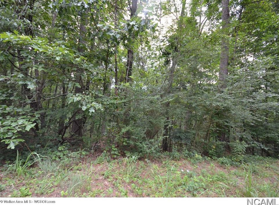 Image 1: Wooded Lot