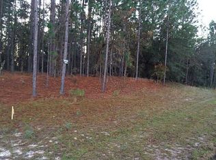 9823 N Langdon Rd, Citrus Springs, FL 34434