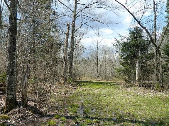 3rd image of ON N Knapp Road