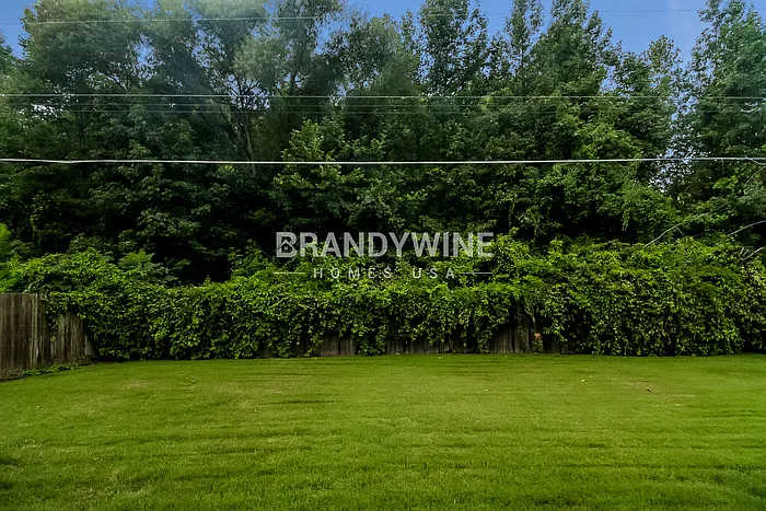 1581 Farkleberry Dr — Photo 26