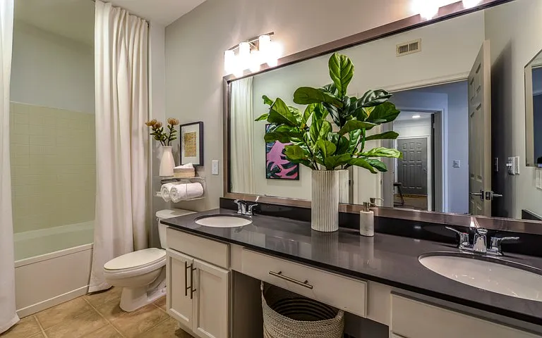 Dual Vanity Sinks