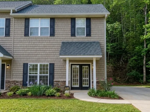 175B Boardtown Rd, Ellijay, GA 30540