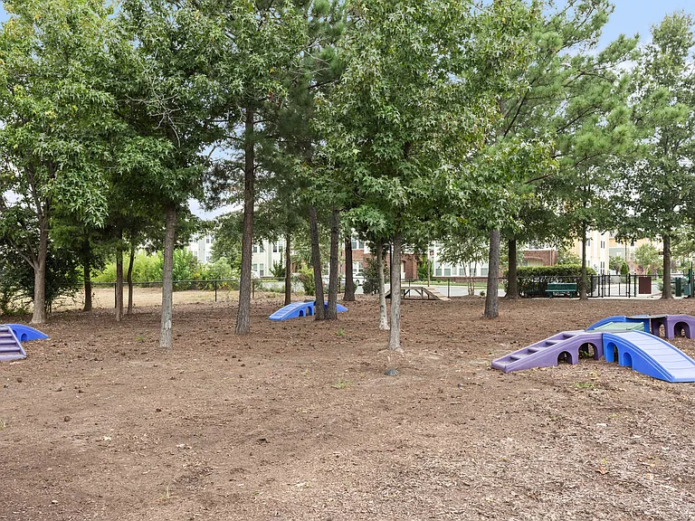 Dog Park