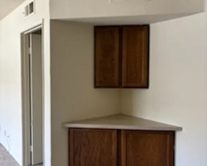 434 E Elmwood Ave #209 — Photo 9