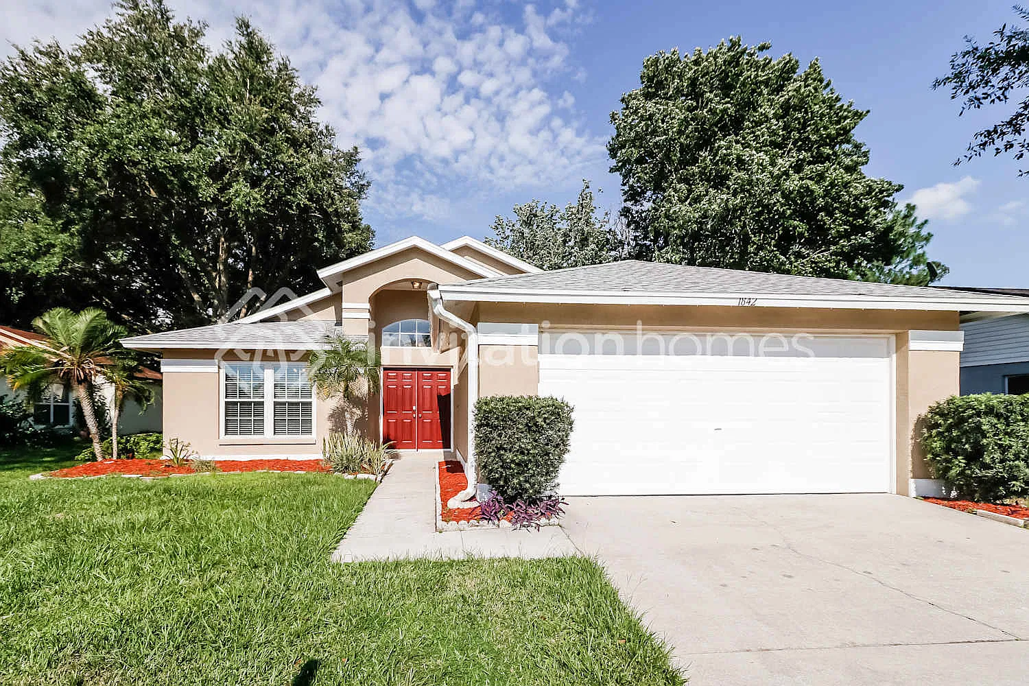 1842 Tampa Bay Dr Wesley Chapel, FL 33543 — Photo 1