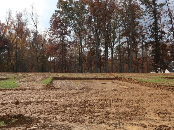 3165 Mission Olive Pl, New Hill, NC 27562