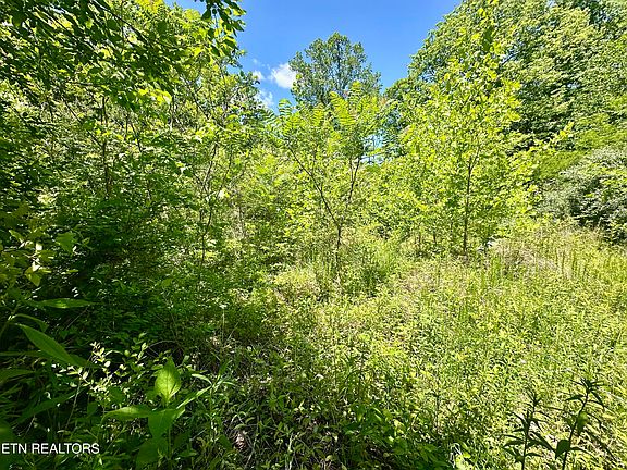 3rd image of Stoney Fork Rd #141-020.00