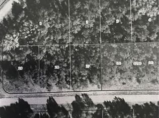 1609 E Carson Rd, Citrus Springs, FL 34434