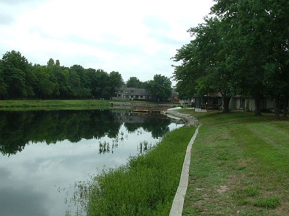 Lakeside View