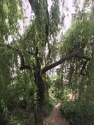 Rented by Weinstein Realty Group