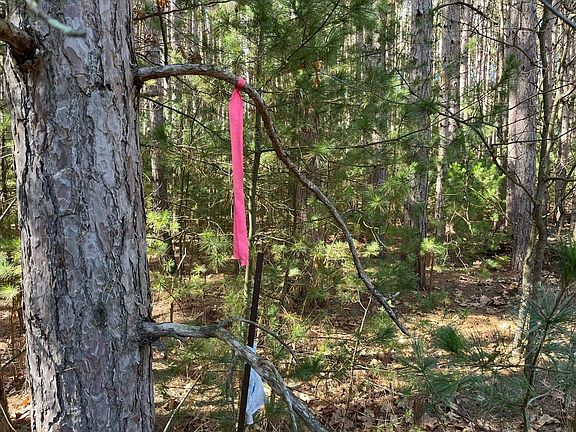 4th image of L68 & 69 Norway Dr