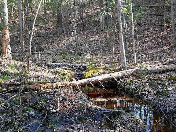 4th image of +/-.544 Acre SALEM LAKE ROAD