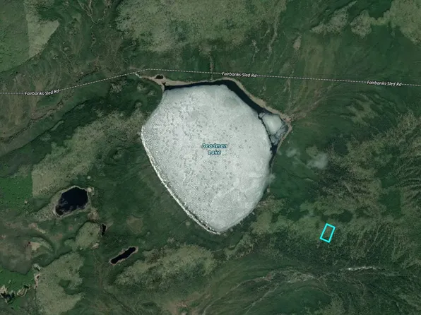 0 Deadman Lake Lot 4, Manley Hot Springs, AK 99756