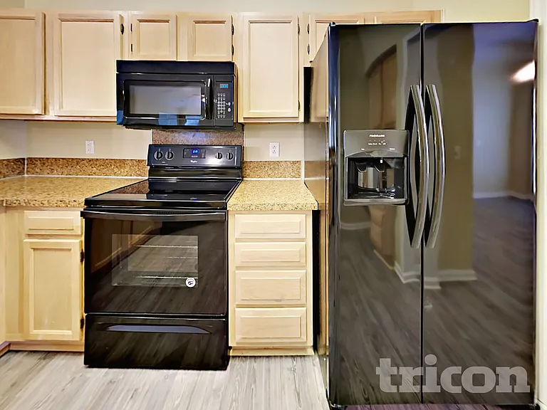 11219 Turmeric Ct — Photo 6