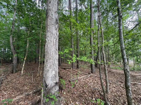 0 Lovett Rd, Strong, AR 71765