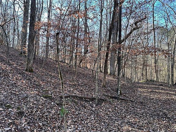 5th image of 8555 Woodland Brooke Trl #X