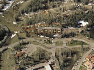 16 Trails Edge Core Market In Ln #MV, Telluride, CO 81435