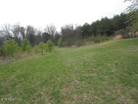 4th image of Washington Pike