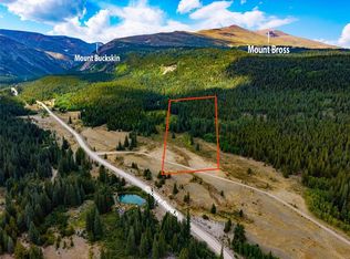1421 Buckskin Rd, Alma, CO 80420